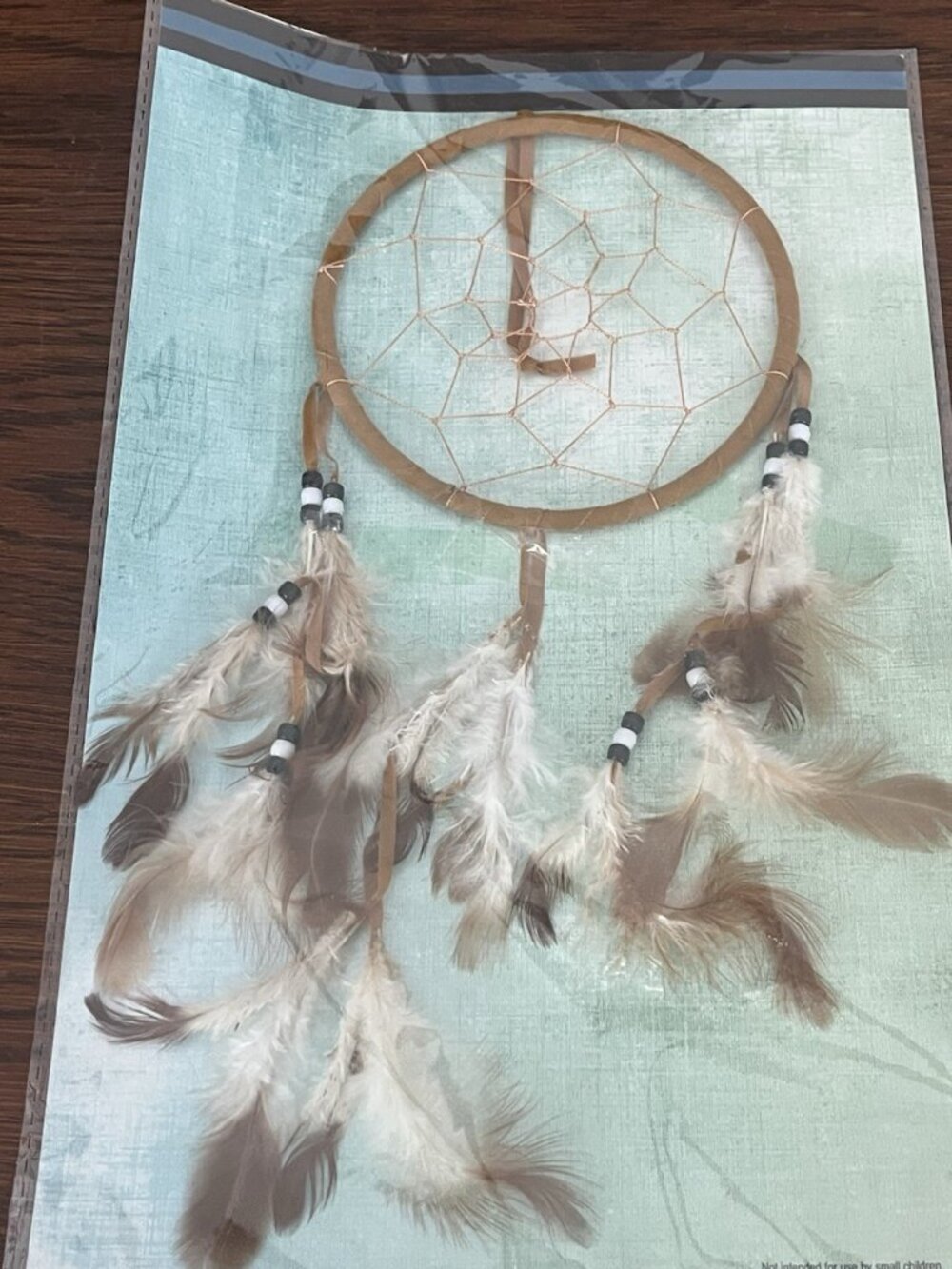 Dreamcatcher St. Joseph's Indian School 5" Native American From Chamberlain, SD